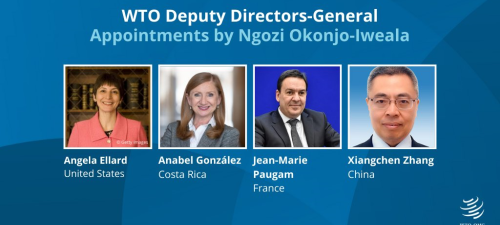Deputy Directors-General