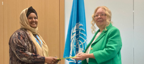 New Permanent Representative of Somalia