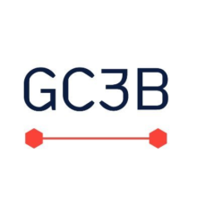 Global Conference on Cyber Capacity Building (GC3B) 