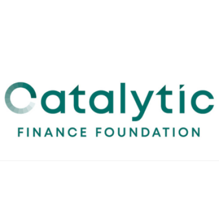 Logo Catalytic Foundation