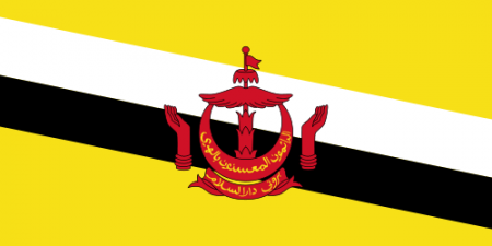 500px-flag_of_brunei.svg_.png